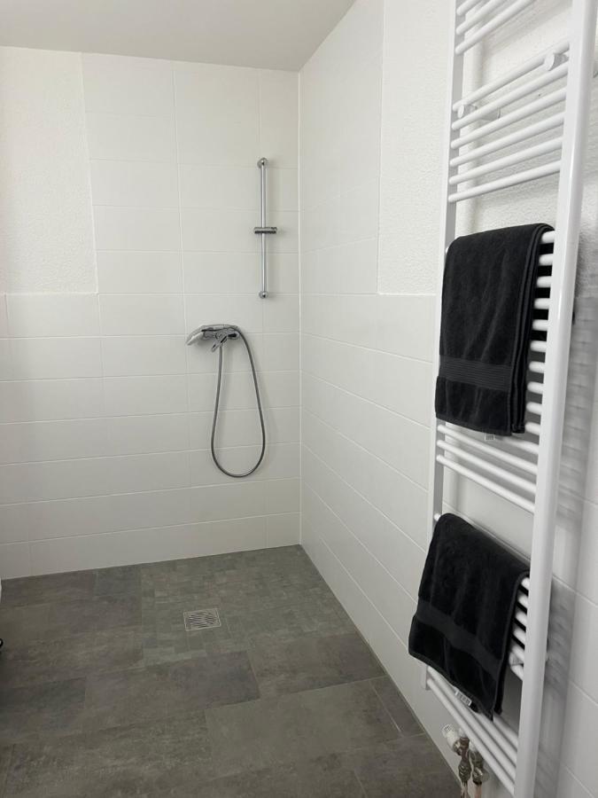Apartment Juna Mit Tg Stellplatz Leipzig Buitenkant foto